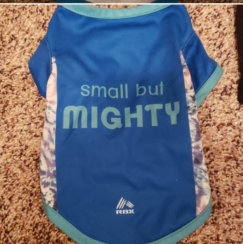 Dog Blue Top